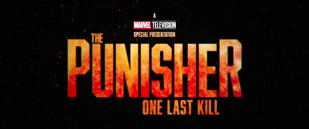 Punisher: one last kill